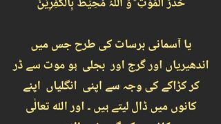 قرآن مجید کی تلاوت سنئیے اور دوسروں کو بھی شیئر کریں شکریہ جزاکم الله خیرا کثیرا 5