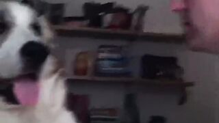 Funny video #23 2