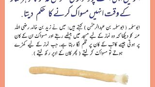 شرعی مسائل اور ان کا حل 42