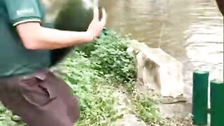Look_at_what_this_funny_elephant_did_to_this_huge_cucumber_at_end