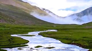 status,status video,status song,status whatsap,beast song,good song,video,natural 491