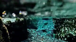status,status video,status song,status whatsap,beast song,good song,video,natural 492