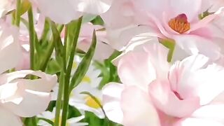 status,status video,status song,status whatsap,beast song,good song,video,natural 510