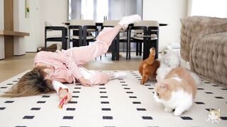 If a cat suddenly falls down while being fed, what are the different reactions of a cat and a dog?
