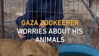 Gaza zookeeper fears for his animals as war takes its toll
