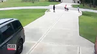 Teen Hero Rescues 6-Year-Old Attacked by Pit Bull