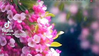 Hazrat Ali quotes in Urdu 167