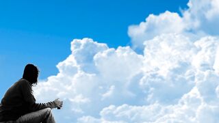 Your animal in the cloud