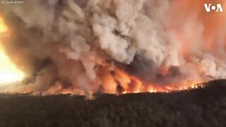fire in jagal