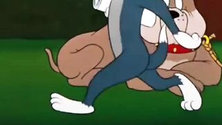 Tom and Jerry 71
