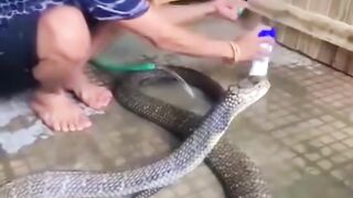 Regardez ce video 7755