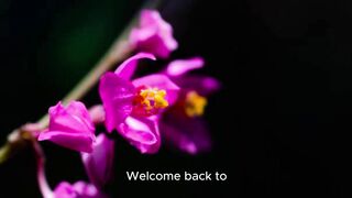 Positive Vibes: Affirmations for Peace, Mindfulness, and Positivity