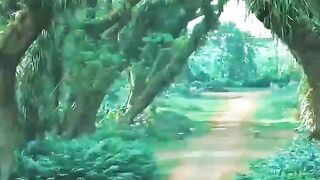 How beautiful is life