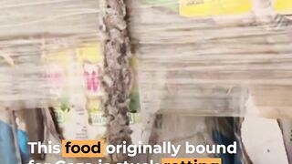 Worms, insects infest Gaza bound food stuck rotting in Egyptian sun | Al Jazeera Newsfeed