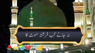 my favreut 3
