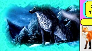 Animal lifetime/Lifespen in the world 2024