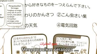 Mengunpulkan Serangga