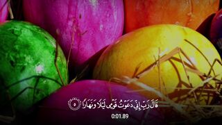 Quran Al Kareem 4