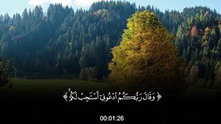 Quran Al Kareem 5