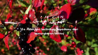 video 503
