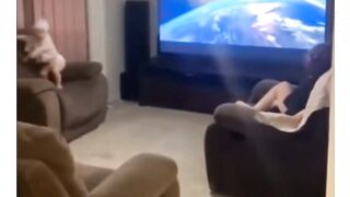 Genius baby
