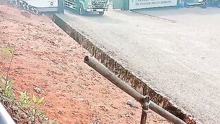 ayam broiler || kata kata lucu 7