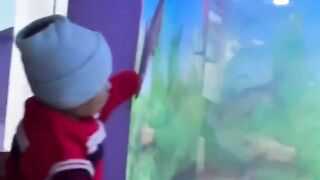 Baby playing with fishes in aquarium