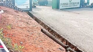 ayam broiler || kata kata lucu 8