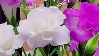 صباح الخير ????????