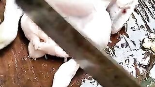how to cut chicken meat 3