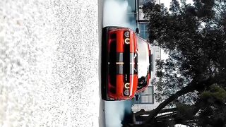 THE_HELLCAT_????_||°°°