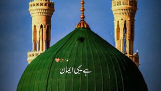 my favreut 4