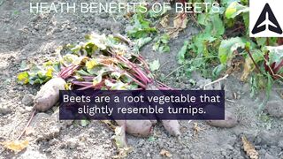 Top  Health Benefits of Eating Beets Every Day