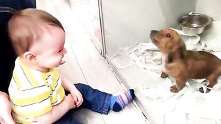 Funny Baby Videos - All Of The Cutest Thing You'll See Today 3