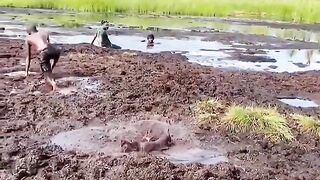 Hilarious Moments Caught on Camera | Funny Videos Compilation