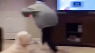 Laugh Riot: Epic Funny Fails Compilation | Hilarious Videos