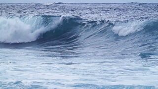 Wave Ocean
