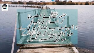 اسلام کے پانچ ارکان