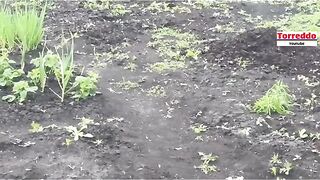 В РУСИЯ ЗРЕЕ СОЦИАЛНО НЕДОВОЛСТВО