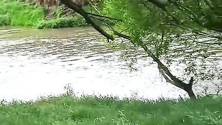 Râul Cibin 3