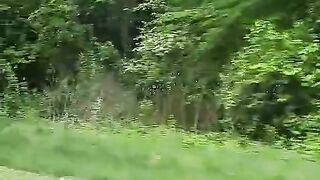 Green nature 2