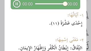 سورة المنافقون
