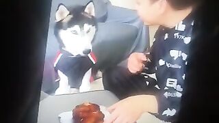 Dog not having it