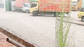 ayam broiler || kata kata lucu 26