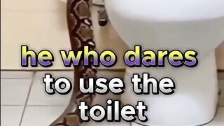 #Oddities???? #Mystery???? #Wonders #Wild Animals????????????