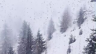 Winter 10