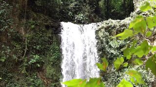 Serene Cascades: Blurred Leaves in the Foreground