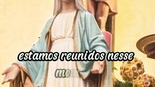 Momento da Ave.