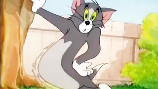 Tom and jerry 73