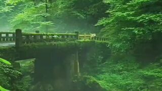 Paradise on Earth #2: A Bridge in the Heart of the Green Forest